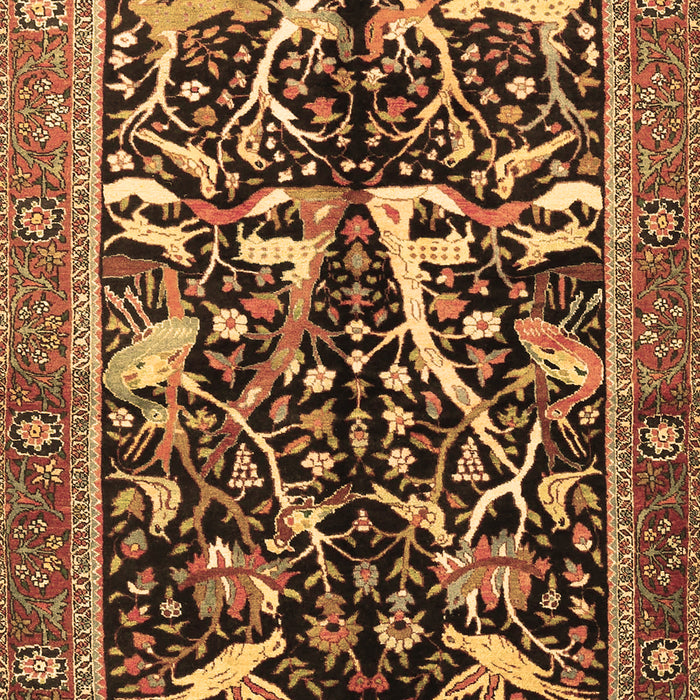 Animal Brown Traditional Rug, tr3953brn