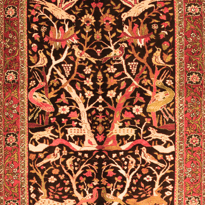 Serging Thickness of Machine Washable Animal Orange Traditional Area Rugs, wshtr3953org