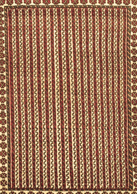 Southwestern Brown Country Rug, tr3954brn