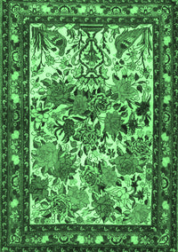 Animal Emerald Green Traditional Rug, tr3955emgrn