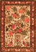 Animal Orange Traditional Rug, tr3955org