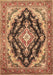 Medallion Brown Traditional Rug, tr395brn