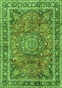 Persian Green Traditional Rug, tr3961grn