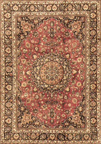 Persian Brown Traditional Rug, tr3961brn