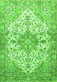 Medallion Green Traditional Rug, tr3968grn