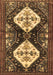 Persian Brown Traditional Rug, tr3970brn