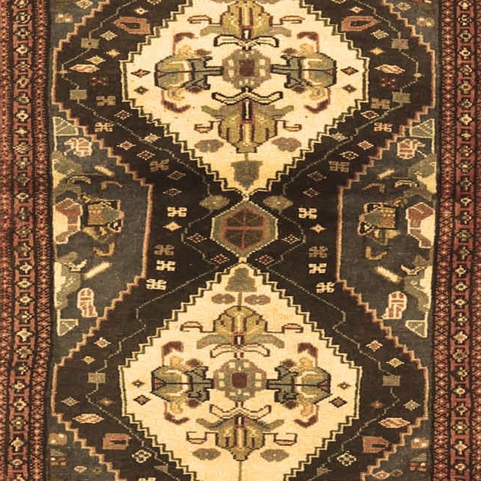 Persian Brown Traditional Rug, tr3970brn