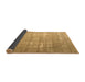 Sideview of Persian Brown Traditional Rug, tr3971brn