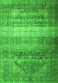 Persian Green Traditional Rug, tr3973grn