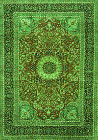 Persian Green Traditional Rug, tr3974grn