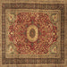 Square Machine Washable Persian Brown Traditional Rug, wshtr3974brn