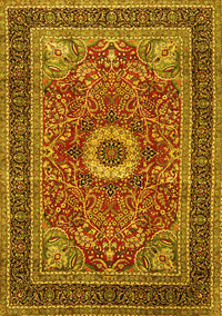 Persian Yellow Traditional Rug, tr3974yw