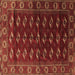 Square Machine Washable Persian Brown Traditional Rug, wshtr3975brn