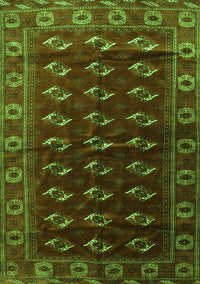 Persian Green Traditional Rug, tr3975grn