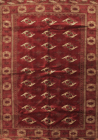 Persian Brown Traditional Rug, tr3975brn