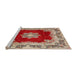 Sideview of Machine Washable Traditional Brown Rug, wshtr3979