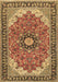 Machine Washable Medallion Brown Traditional Rug, wshtr397brn