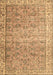 Machine Washable Persian Brown Traditional Rug, wshtr3987brn