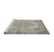 Sideview of Machine Washable Traditional Pale Silver Gray Rug, wshtr3989