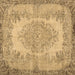 Square Persian Brown Traditional Rug, tr3989brn