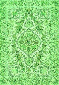 Medallion Green Traditional Rug, tr398grn