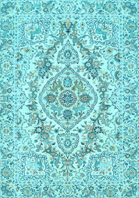 Medallion Light Blue Traditional Rug, tr398lblu