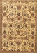 Persian Brown Traditional Rug, tr3991brn