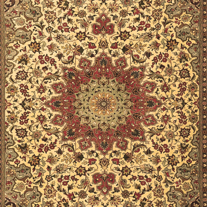 Machine Washable Medallion Brown Traditional Rug, wshtr3992brn