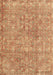 Persian Brown Traditional Rug, tr3994brn