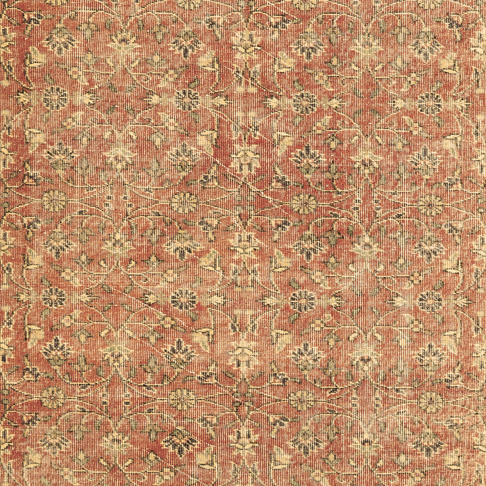Machine Washable Persian Brown Traditional Rug, wshtr3994brn