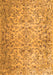 Serging Thickness of Machine Washable Persian Orange Traditional Area Rugs, wshtr3995org