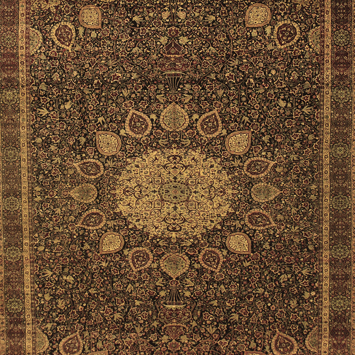 Medallion Brown Traditional Rug, tr39brn