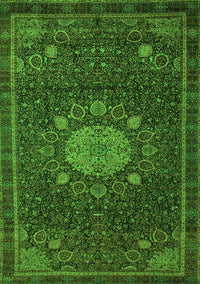 Medallion Green Traditional Rug, tr39grn