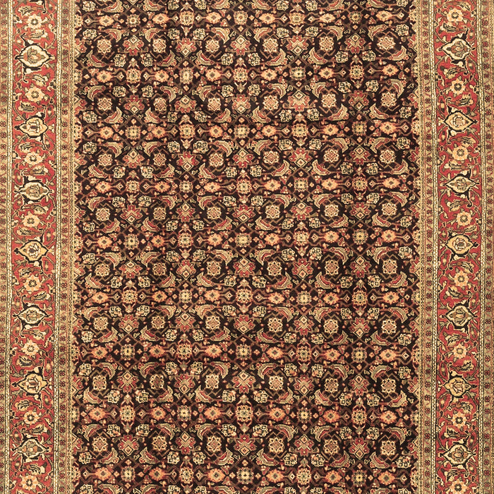 Machine Washable Persian Brown Traditional Rug, wshtr4006brn