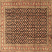 Square Machine Washable Persian Brown Traditional Rug, wshtr4006brn