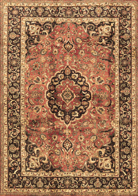 Medallion Brown Traditional Rug, tr4008brn