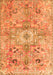 Serging Thickness of Machine Washable Persian Orange Traditional Area Rugs, wshtr4009org