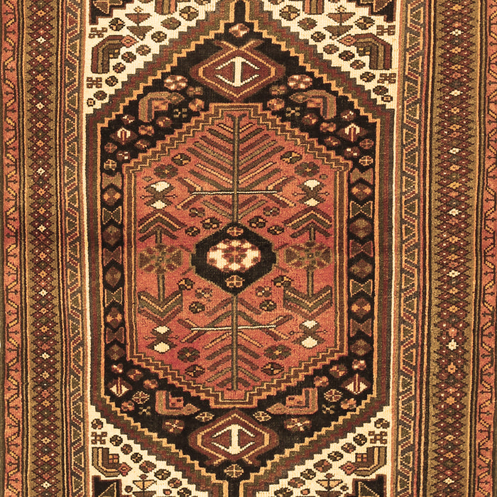 Machine Washable Persian Brown Traditional Rug, wshtr400brn
