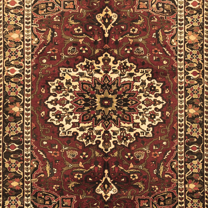 Medallion Brown Traditional Rug, tr4010brn