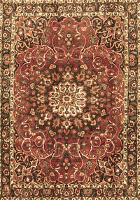 Medallion Brown Traditional Rug, tr4012brn