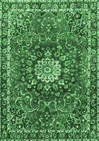 Medallion Emerald Green Traditional Rug, tr4012emgrn