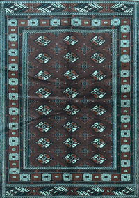 Persian Light Blue Traditional Rug, tr4013lblu