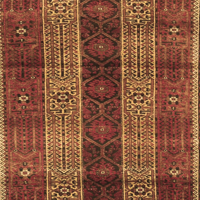Machine Washable Persian Brown Traditional Rug, wshtr4017brn