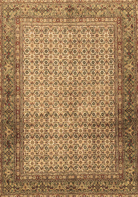 Persian Brown Traditional Rug, tr4018brn