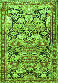 Persian Green Traditional Rug, tr4019grn