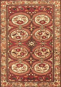 Persian Brown Traditional Rug, tr4020brn