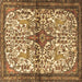 Square Persian Brown Traditional Rug, tr4021brn