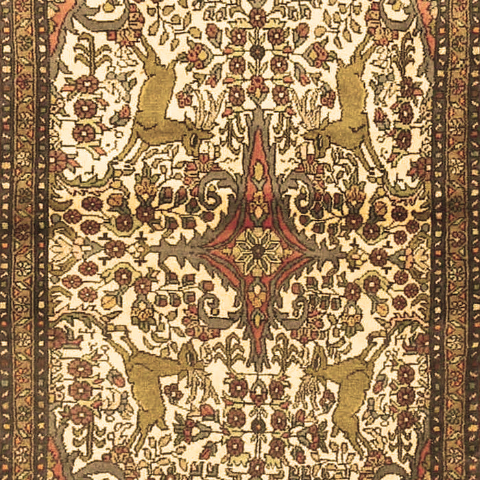 Persian Brown Traditional Rug, tr4021brn