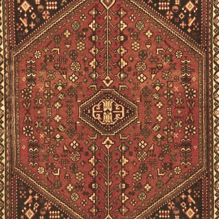 Persian Brown Traditional Rug, tr4022brn