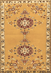 Persian Brown Traditional Rug, tr4023brn